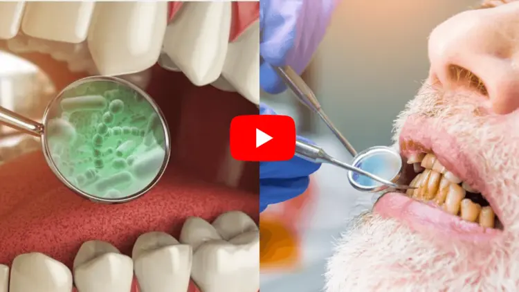 DentiCore